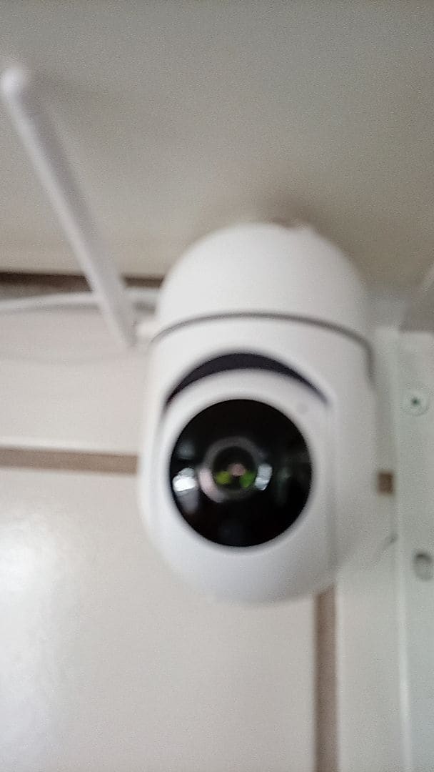 Imagem 1 da avaliação de Maria Júlia Oliveira